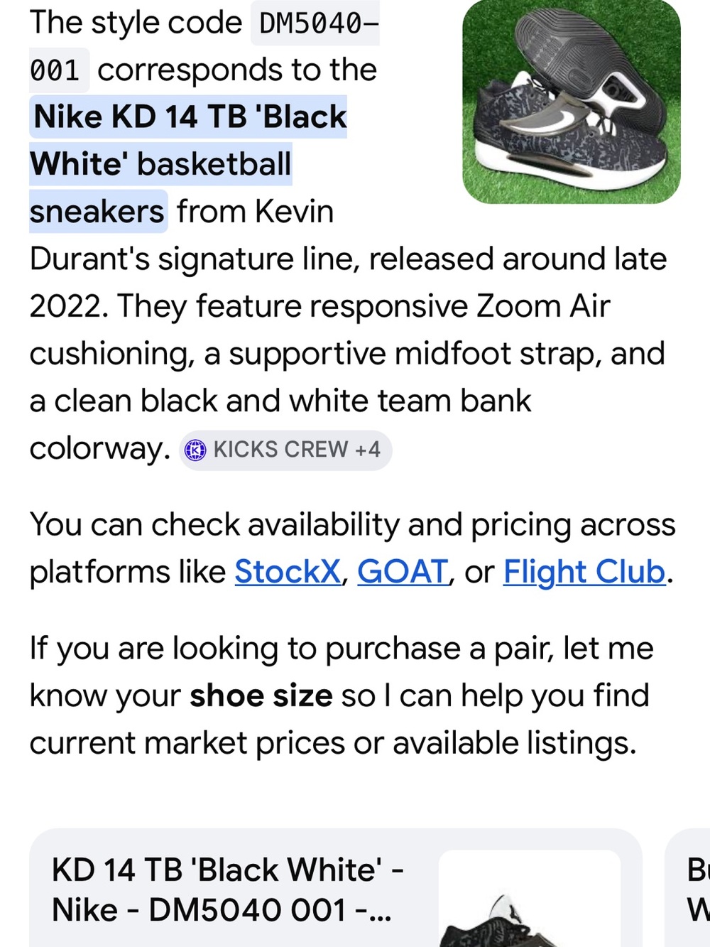 Nike KD14 TB Promo Black/White Sneakers